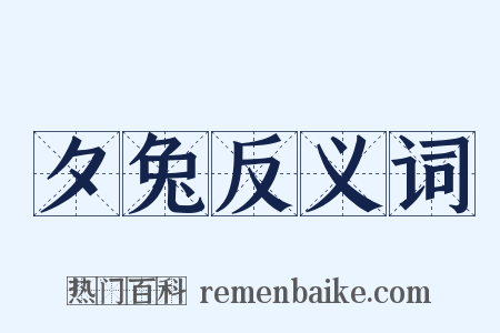 夕兔反义词是什么意思的图片